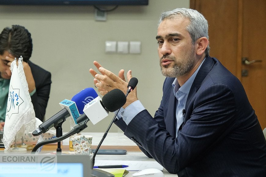 مدنیزاده گزینه نهایی دولت برای تصدی وزارت اقتصاد شد